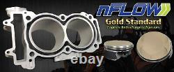 Polaris RZR 900 Top End Rebuild Kit (Cylinder, Pistons, Gaskets)